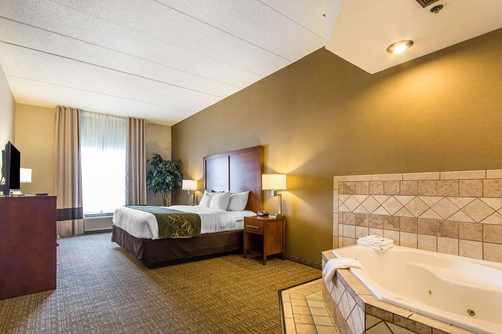 Comfort Suites Richmond - photo 20