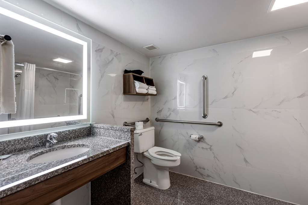 Best Western Plus St. Louis West Westport - photo 31