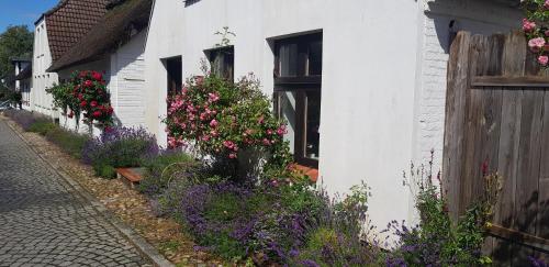 Fischerstern - carbon neutral hotel in Unknown City
