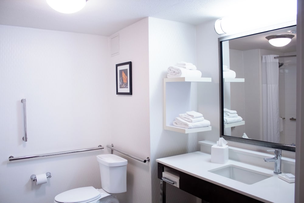 Hampton Inn Big Rapids - photo 13