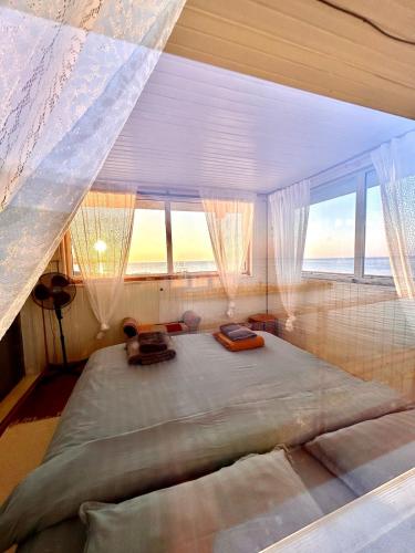 Torn The Tower in Toila, Estonia