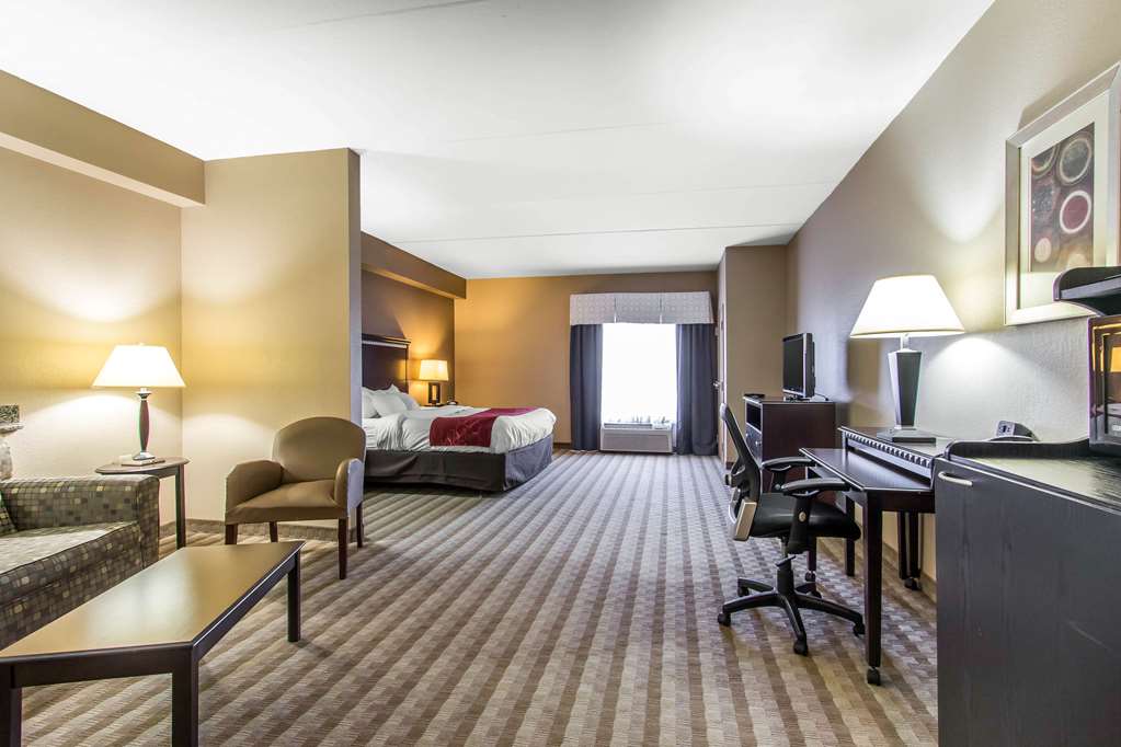 Comfort Suites Smyrna Nashville Area - photo 15