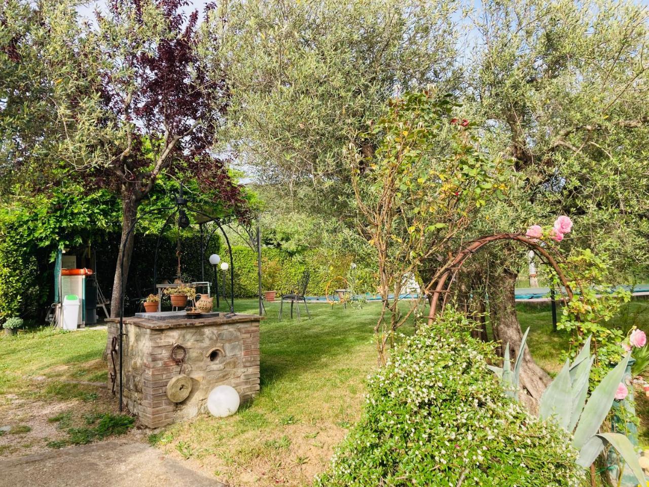 Le Coccole Del Trasimeno — Tuoro Sul Trasimeno — photo 4