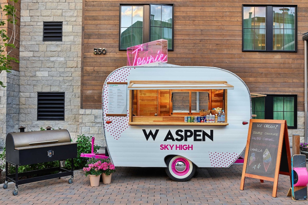 The Sky Residences at W Aspen - photo 35