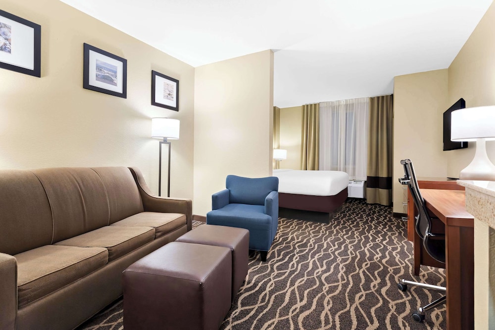 Comfort Suites Tampa Airport North - photo 19