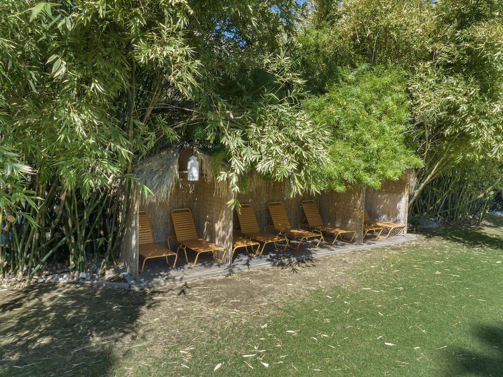 Caliente Tropics Hotel - photo 99