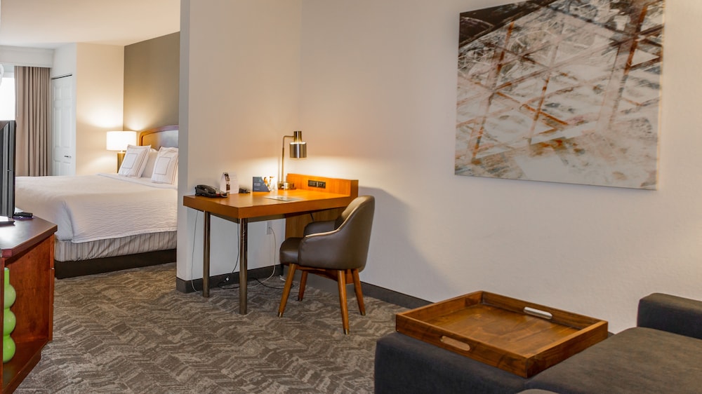SpringHill Suites by Marriott Tampa Westshore Airport - photo 11