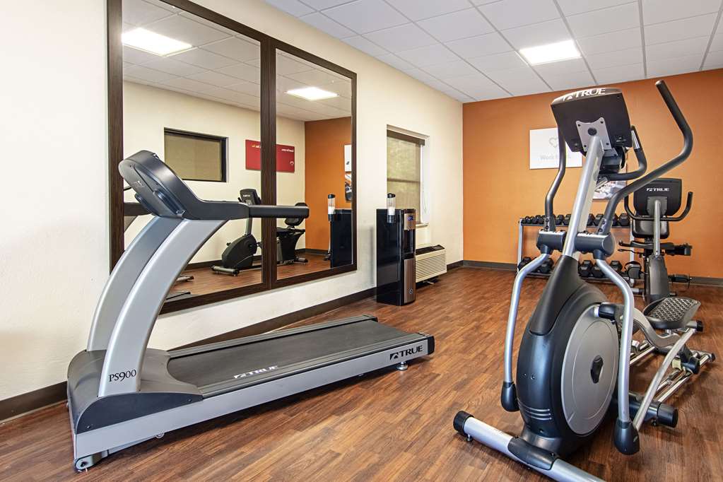 Comfort Suites Knoxville Airport - photo 31