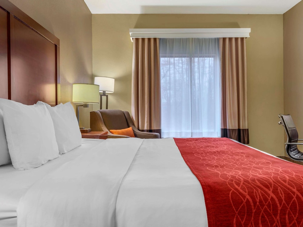 Comfort Inn Duncansville Altoona - photo 8
