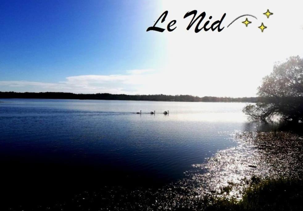 Le Nid - carbon neutral hotel in Aureilhan