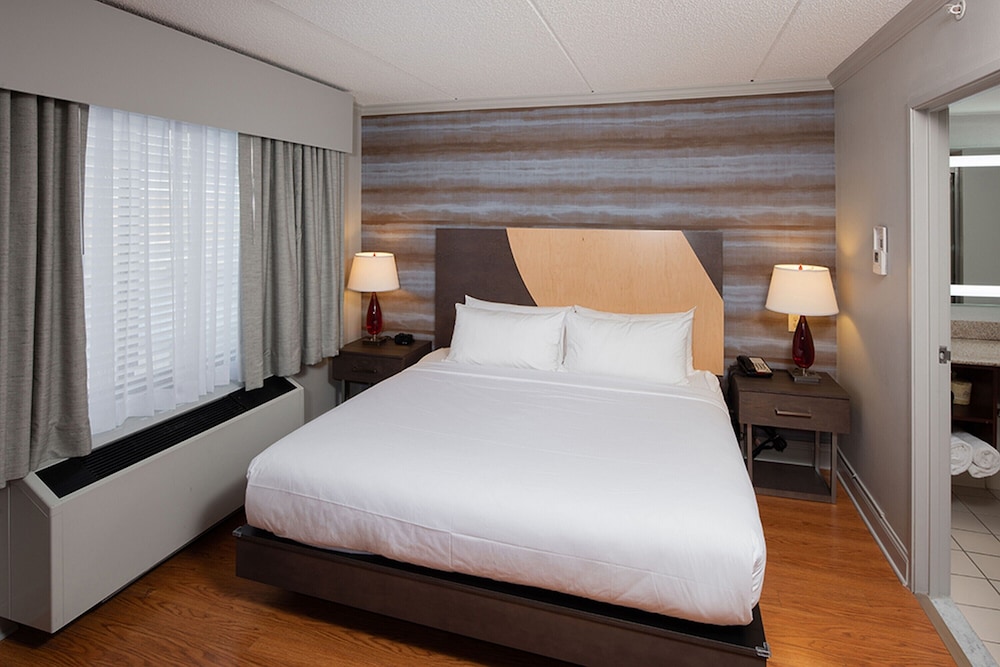 Hotel Trilogy Albany Airport Tapestry Collection by Hilton - photo 10