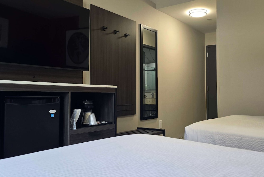 Ramada by Wyndham Brooklyn Empire Blvd - photo 9