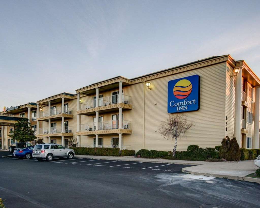 Comfort Inn Redding Near I 5 - photo 3