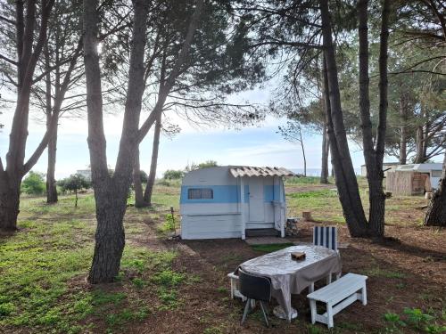 Caravane janis on the beach in Lucciana, France