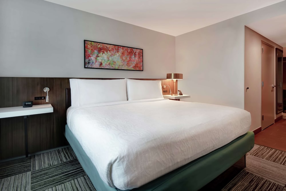 Hilton Garden Inn Houston Galleria Area - photo 12