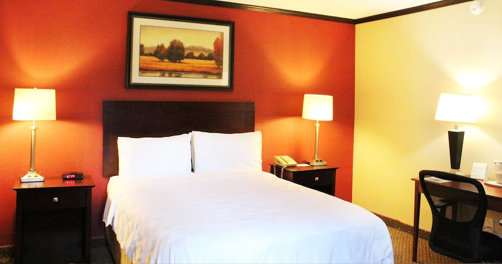 Hotel Burbank - photo 13