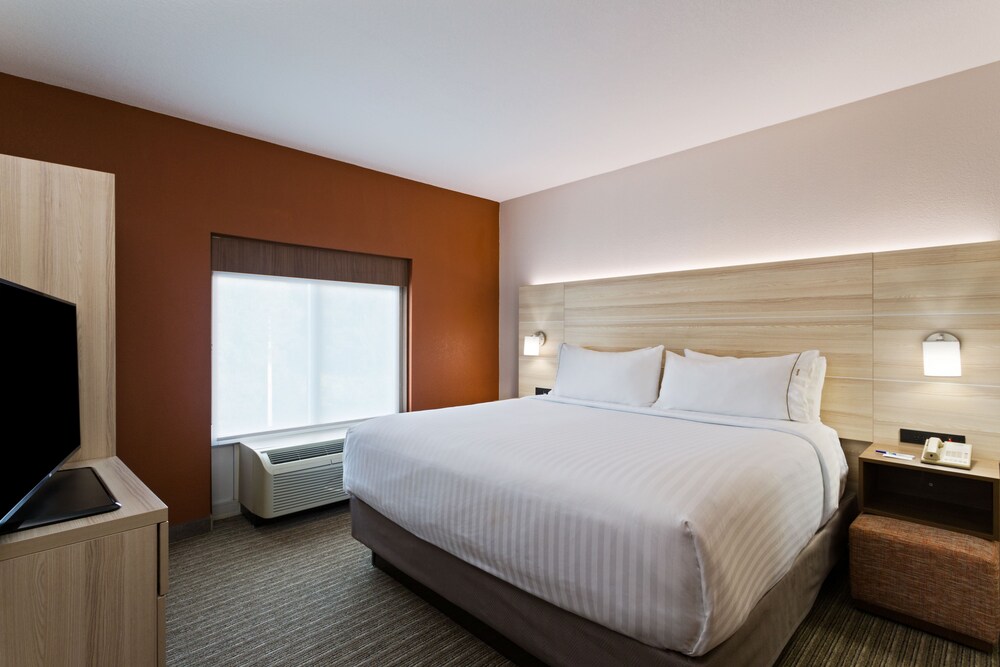 Holiday Inn Express Hotel & Suites Tavares Leesburg by IHG - photo 7