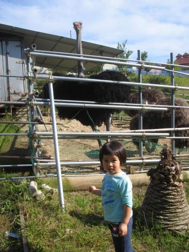 Mirai Noen - carbon neutral hotel in Tanabe