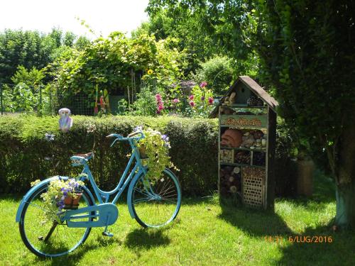 Bed & Bike Belfiore — hotel in Montagnana