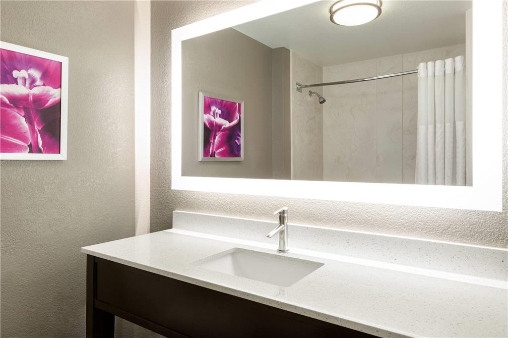 La Quinta Inn & Suites by Wyndham Arlington North 6 Flags Dr - photo 31