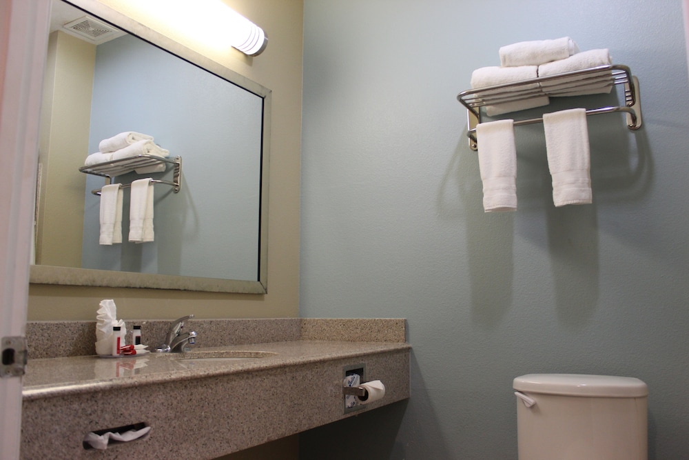 Horizon Inn & Suites Pearsall - photo 21