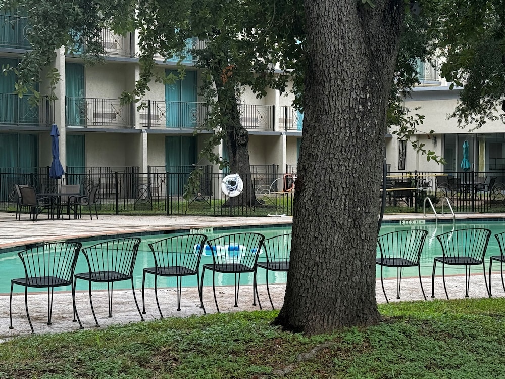 Wingate Houston near NRG Park Medical Center - photo 30