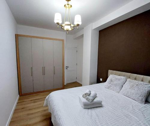 Luxury 2 BR Apartment in Isani