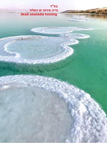 Nadia Hosting Dead Sea - last minute hotel in Unknown City