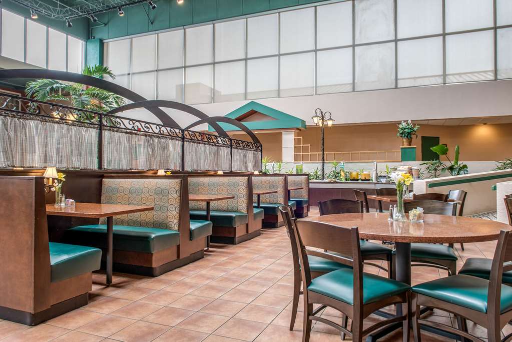 Quality Hotel Conference Center Cincinnati Blue Ash - photo 37