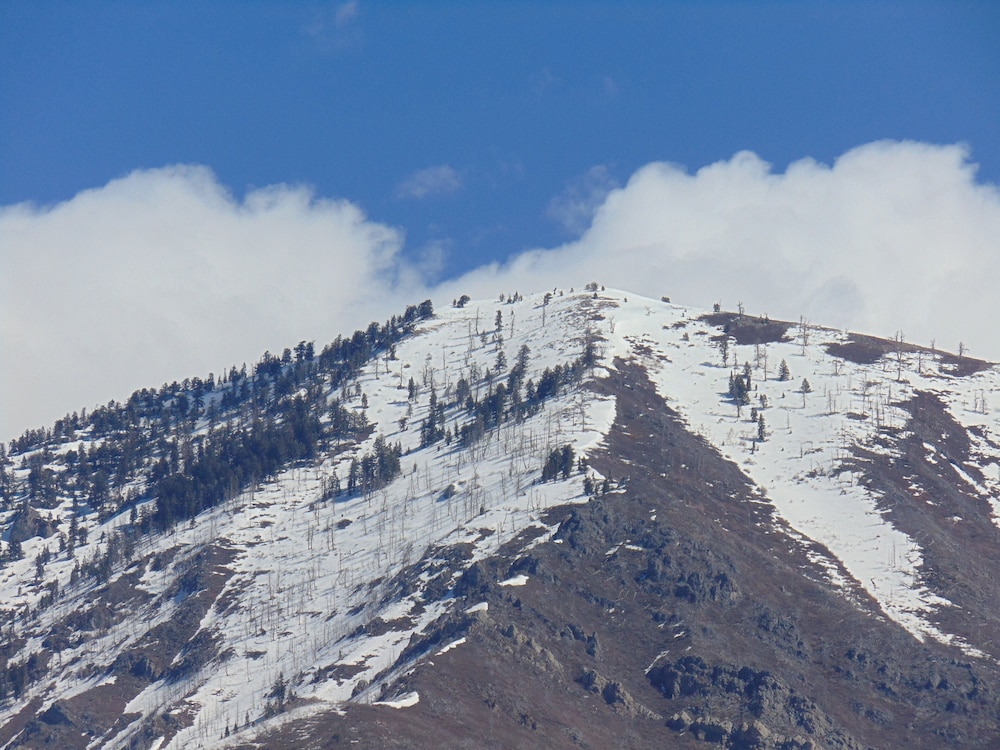 Holiday Inn Express & Suites Springville South Provo Area by IHG - photo 34