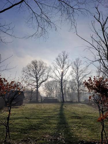 Parkhoeve Glamping — Tessenderlo — photo 4