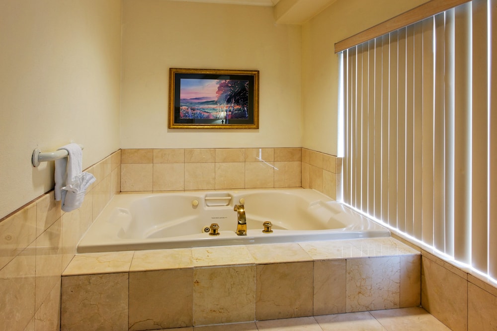 Holiday Inn Express Hotel & Suites San Pablo Richmond Area by IHG - photo 4