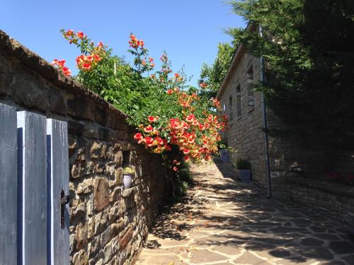 Papigo Stonehouse — Unknown City — photo 4