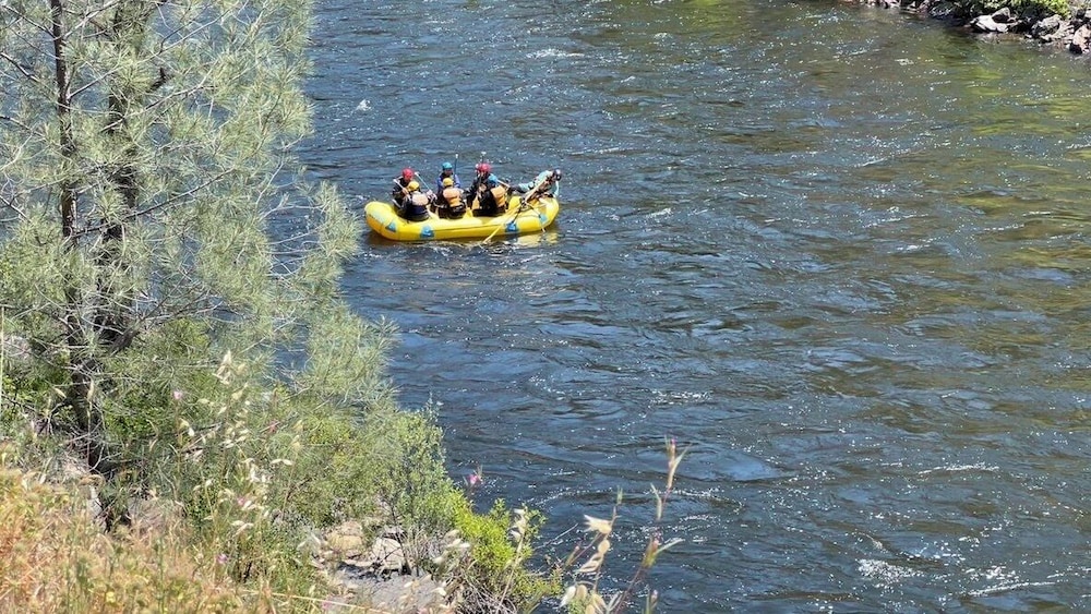 Yosemite Bug Rustic Mountain Resort - photo 95