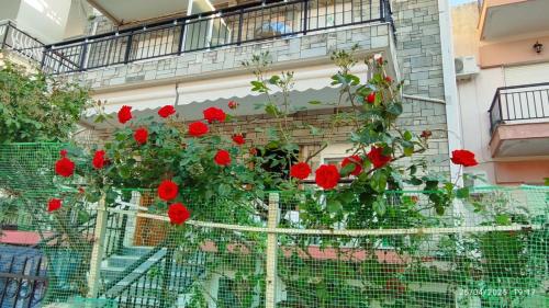 Lovely maison house 50m from the beach at Nea Flogita — 4-Star Luxury Hotel in Nea Flogita, Greece
