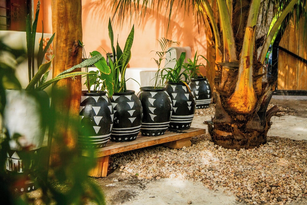 Seconda Stella Boutique — Zanzibar — photo 2