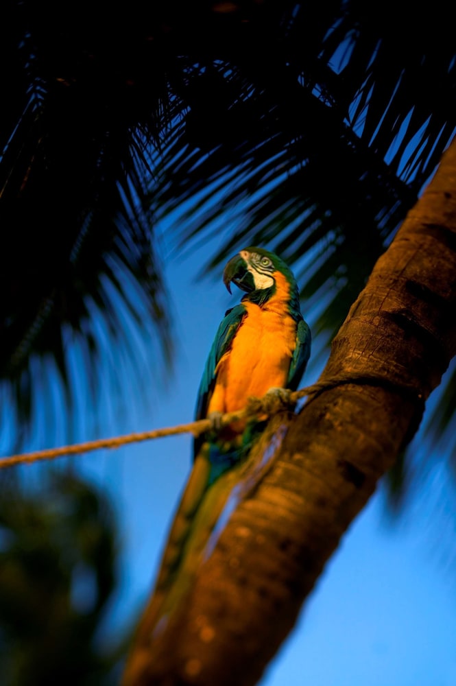 Hyatt Centric Key West Resort and Spa - photo 43