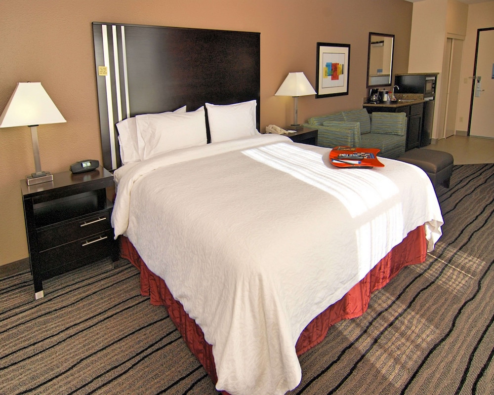 Hampton Inn & Suites Mountain View - photo 21