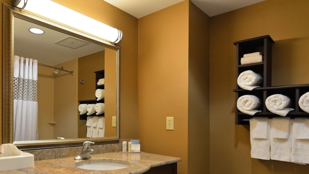 Hampton Inn Geneseo - photo 26