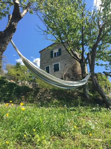 Rustico tra gli Ulivi in Rapallo, Italy