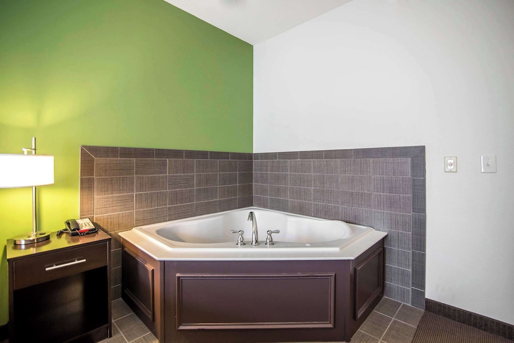 Sleep Inn & Suites Haysville Wichita South - photo 26