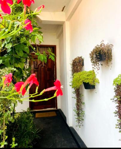 The kiwi - carbon neutral hotel in Ella Town