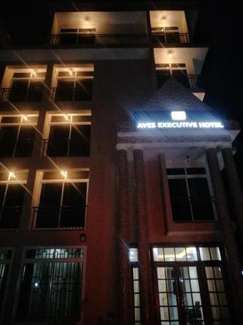 Aves Executive Hotel — Arusha — photo 5