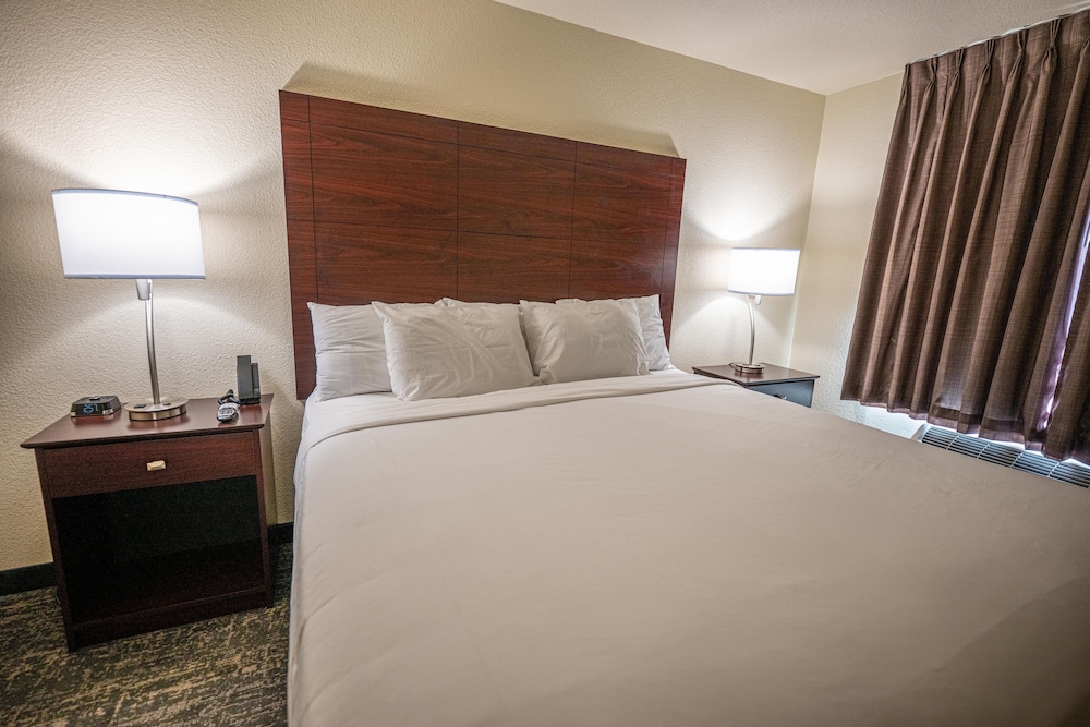 Cobblestone Hotel & Suites Lamar - photo 19