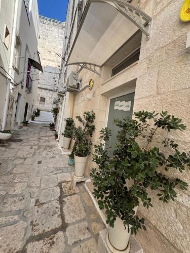 Semplice Dimora Ostuni — Ostuni — photo 3