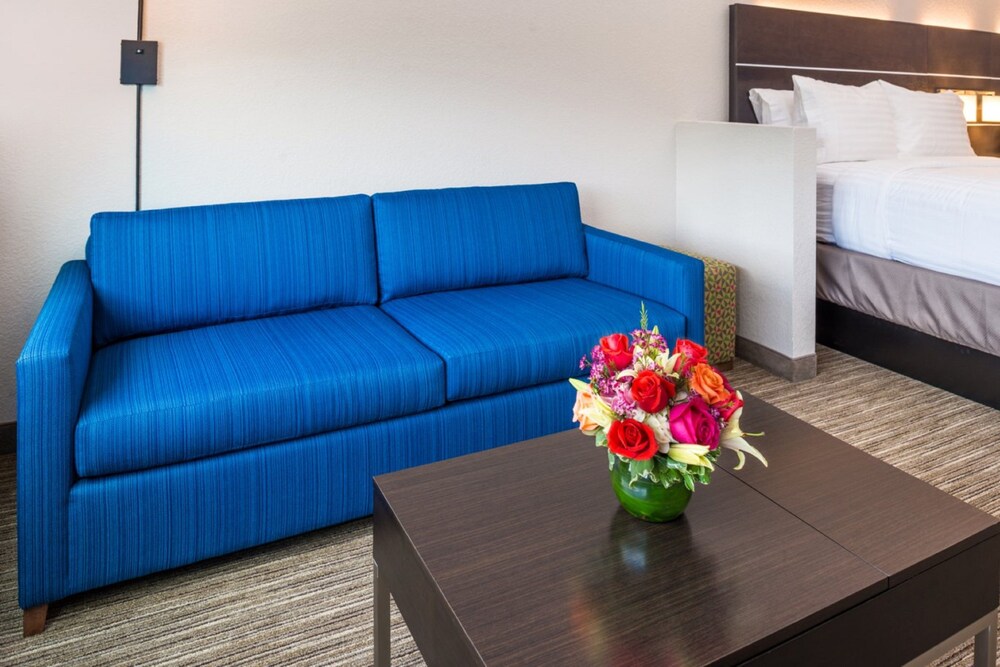 Holiday Inn Express & Suites Tampa North Wesley Chapel by IHG - photo 8