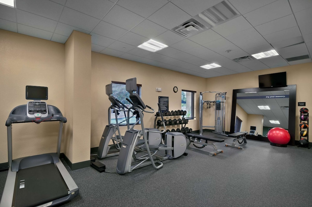 Hampton Inn & Suites Tampa Northwest Oldsmar - photo 29