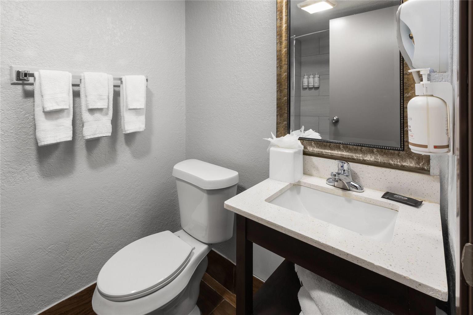 Baymont by Wyndham Downtown Detroit - photo 14