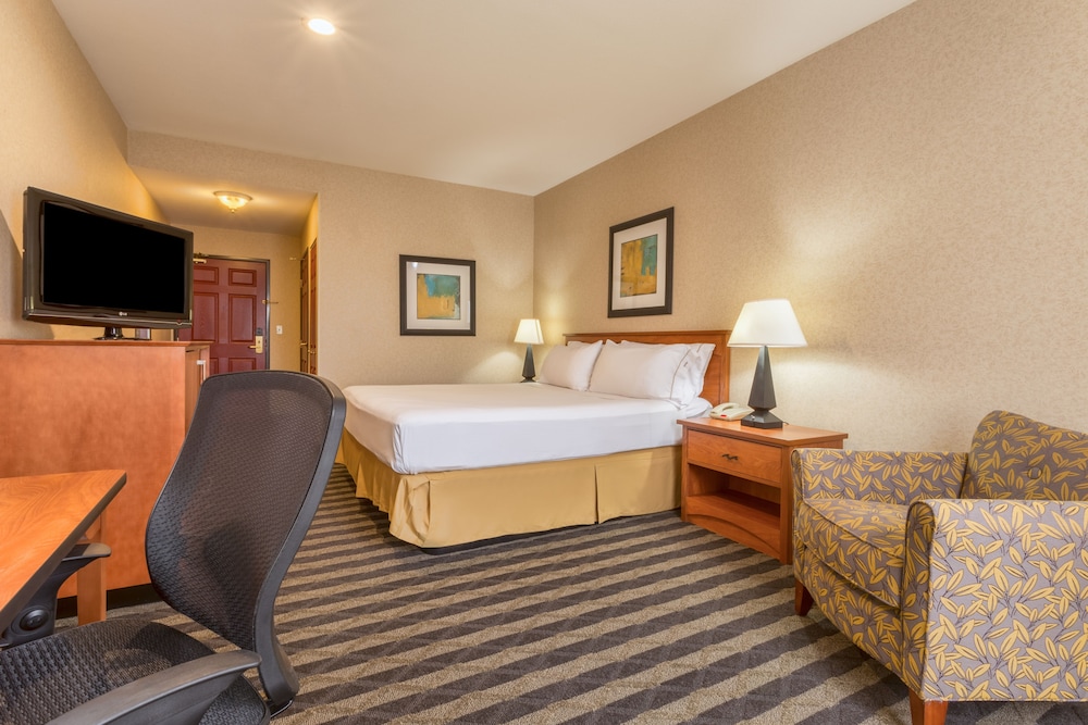 Holiday Inn Express Hotel & Suites Manteca by IHG - photo 14