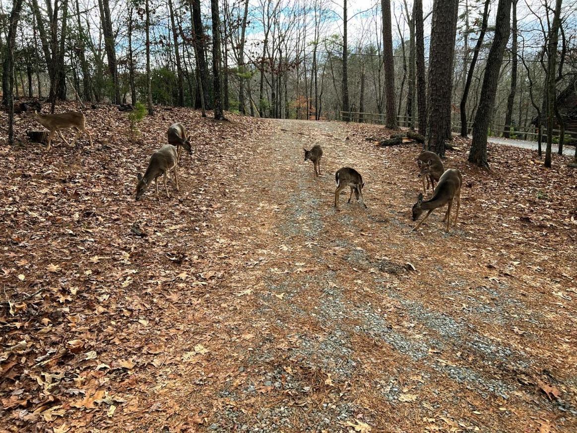 DeerWoodsLodge DOT com Ellijay Coosawattee River Sleeps 16 ARCADE Hot Tub Fire Pit Winery’s in Ellijay, United States